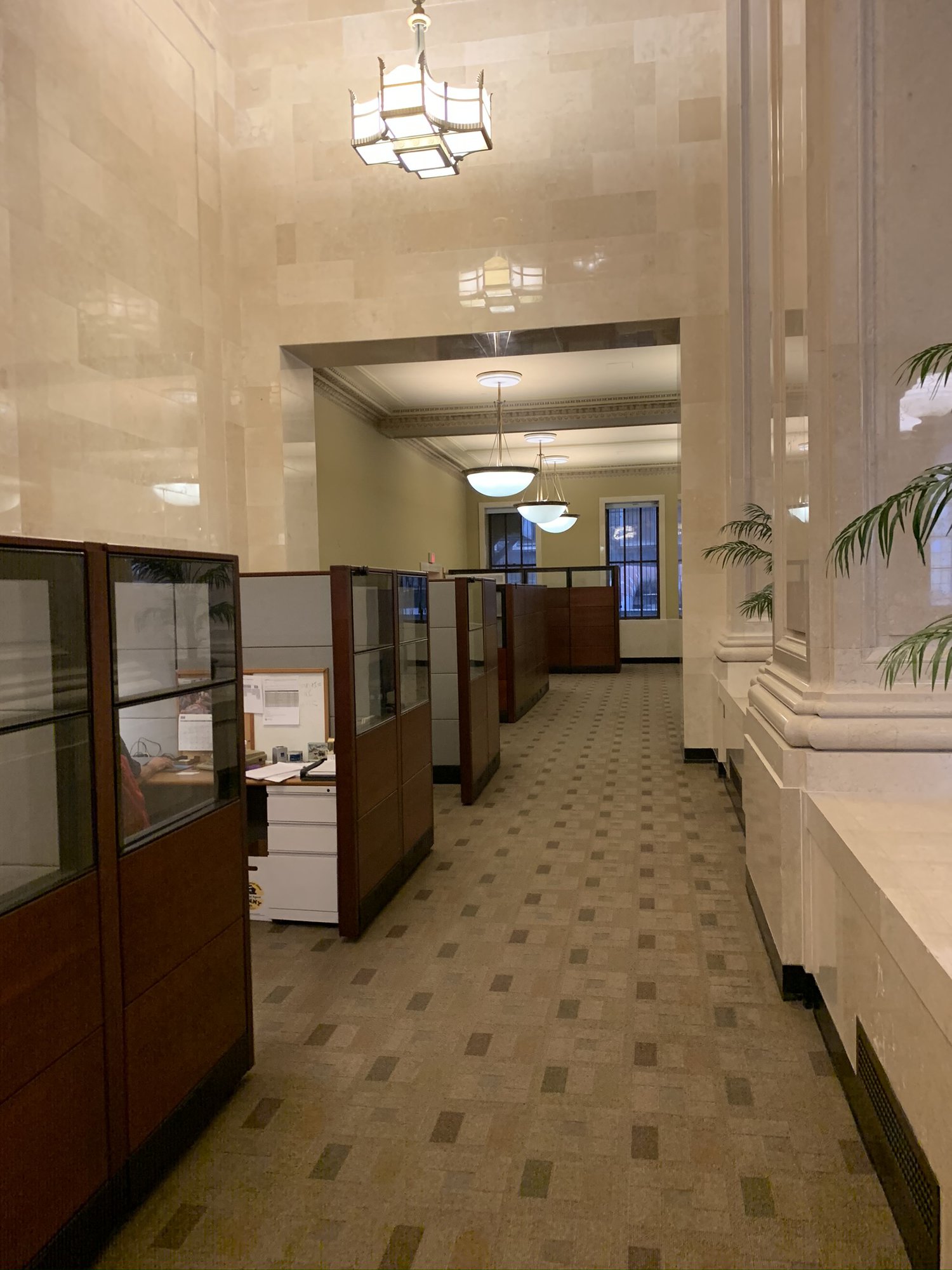 a hallway with cubicles and a plant