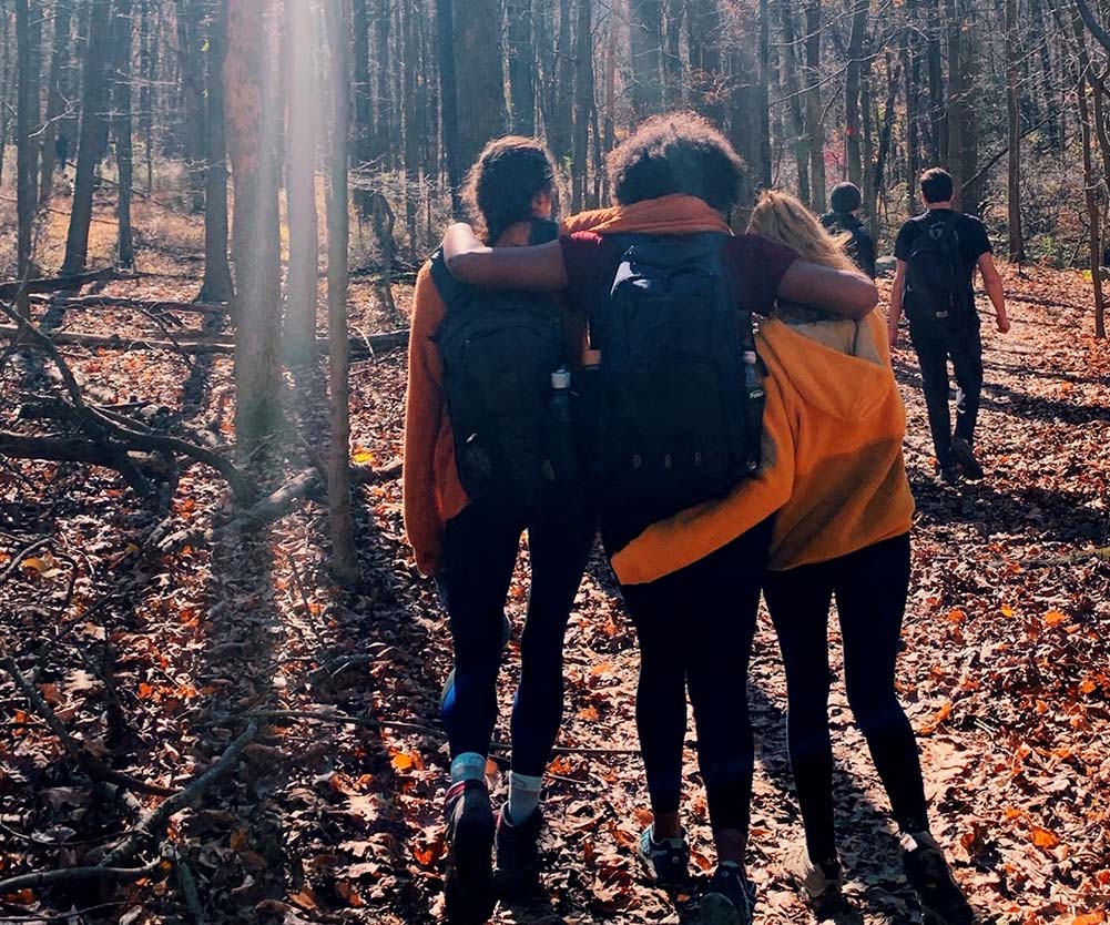 a group of people walking in the woods