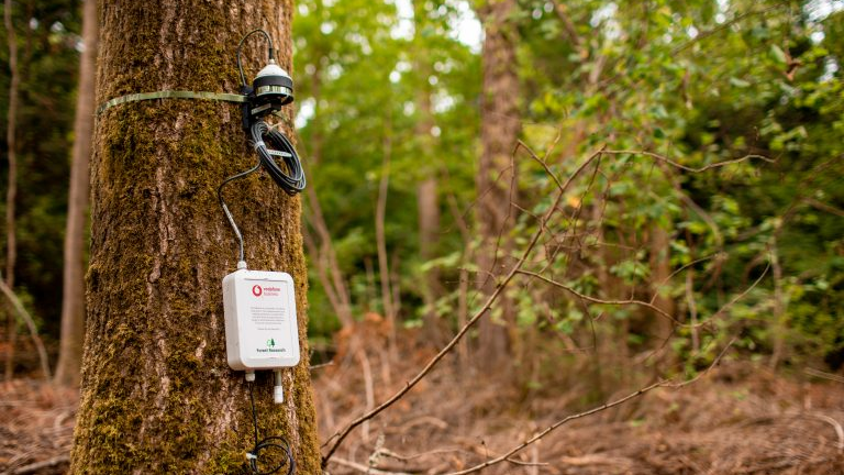 a white box attached to a tree trunk