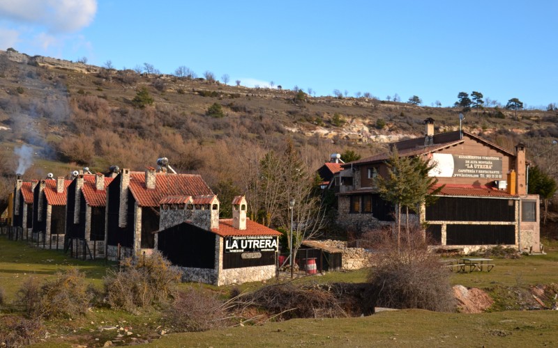 a group of houses with trees and grass