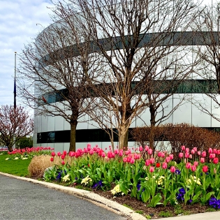 a building with a flower bed and trees