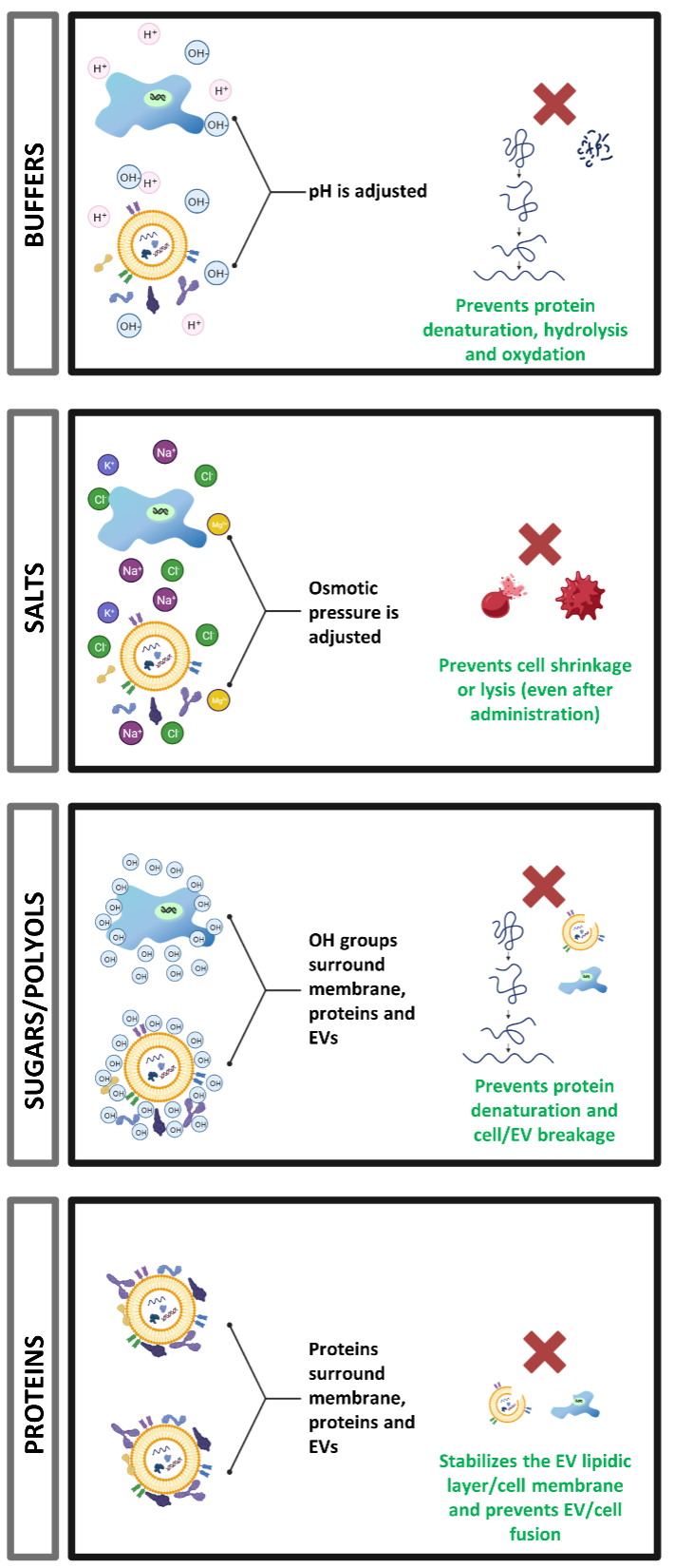 a diagram of a cell membrane