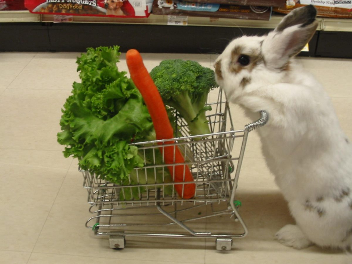 a rabbit with a shopping cart full of vegetables