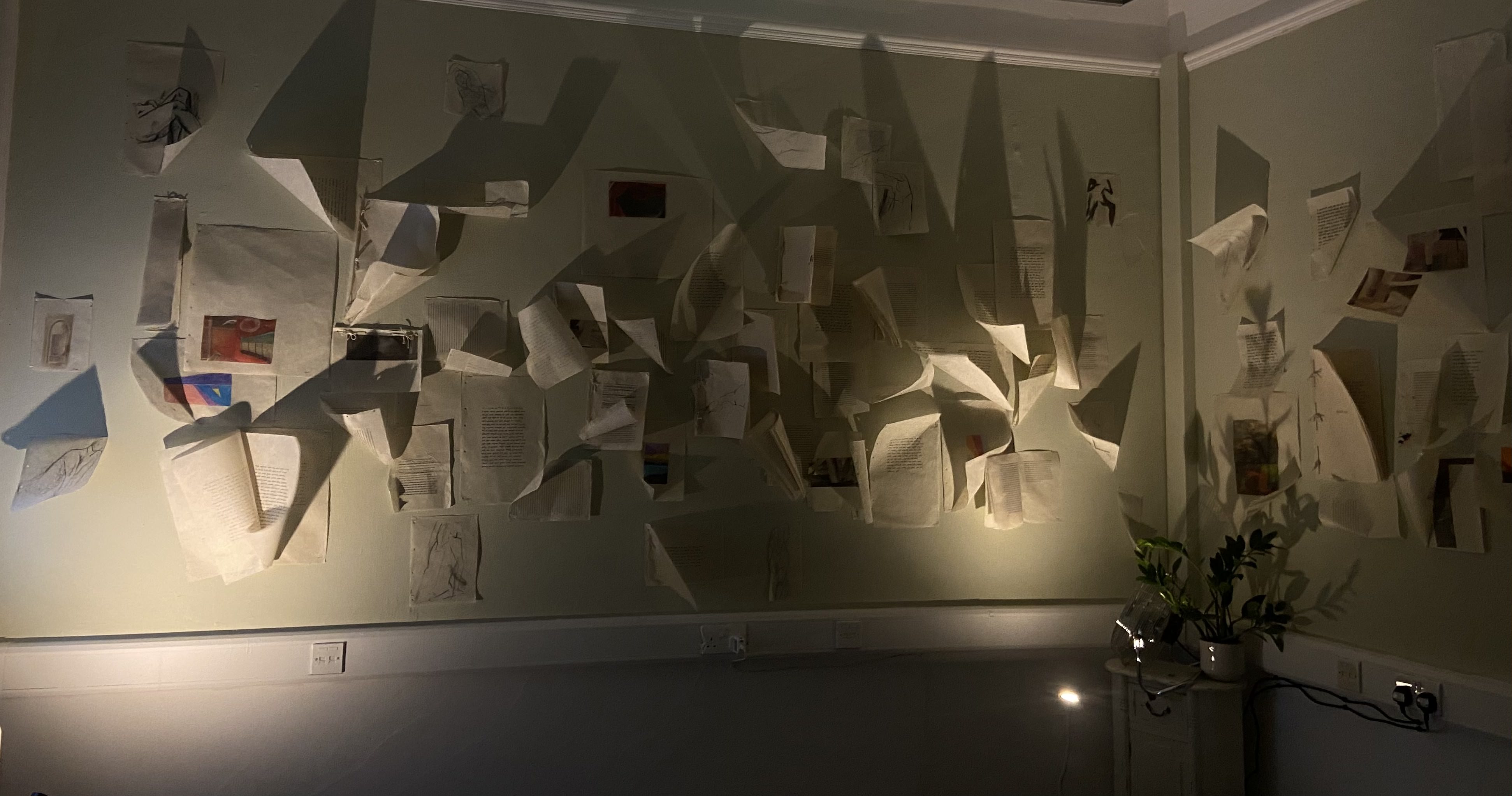 a wall with papers on it