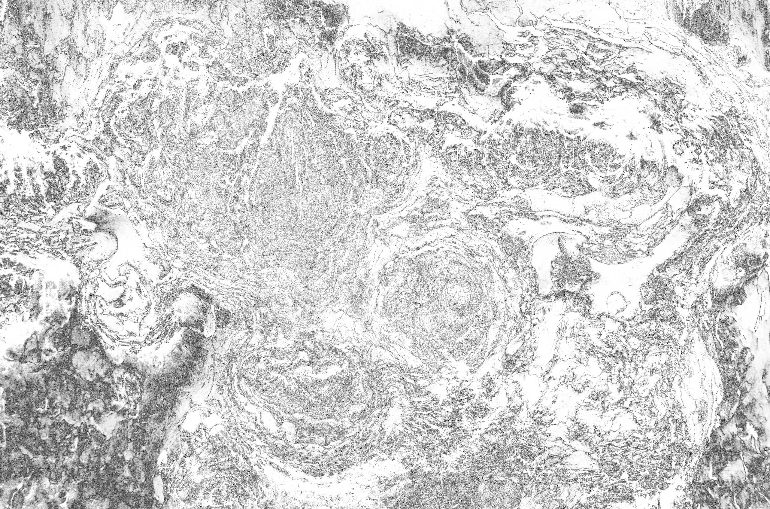 a black and white image of a swirly pattern