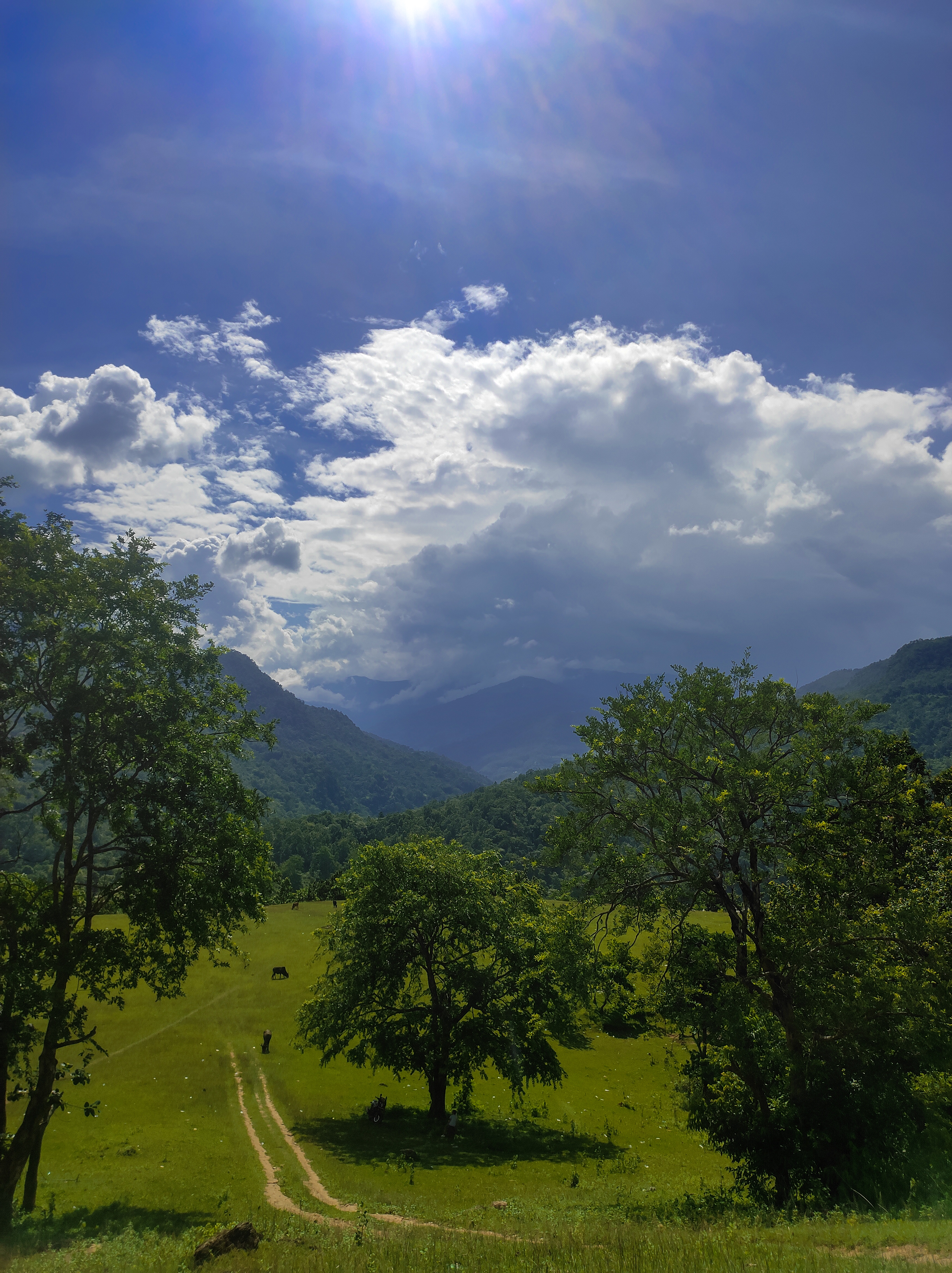 a green field with trees and mountains in the background