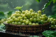 a basket of grapes in a garden