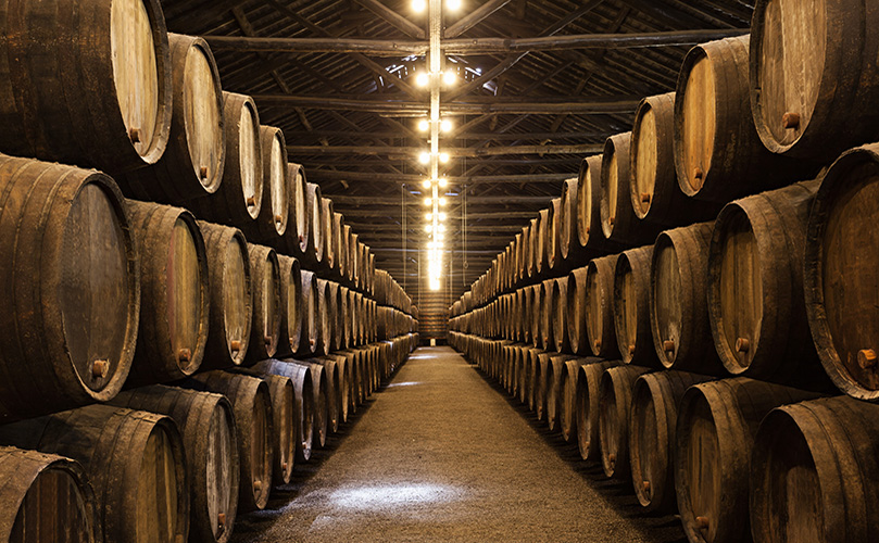 a rows of barrels in a cellar