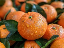 a group of oranges with water droplets on them