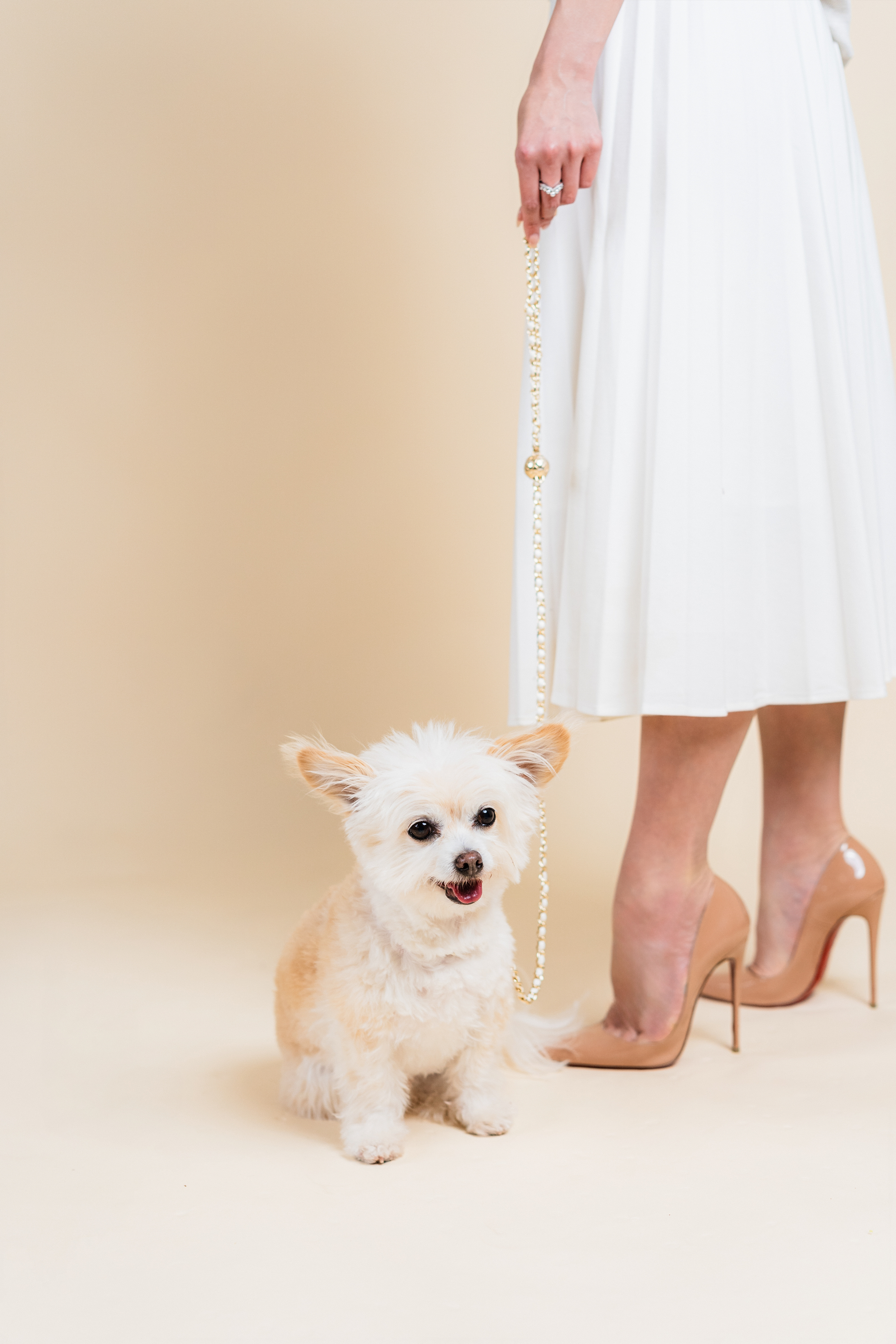 a woman in a white dress and a dog