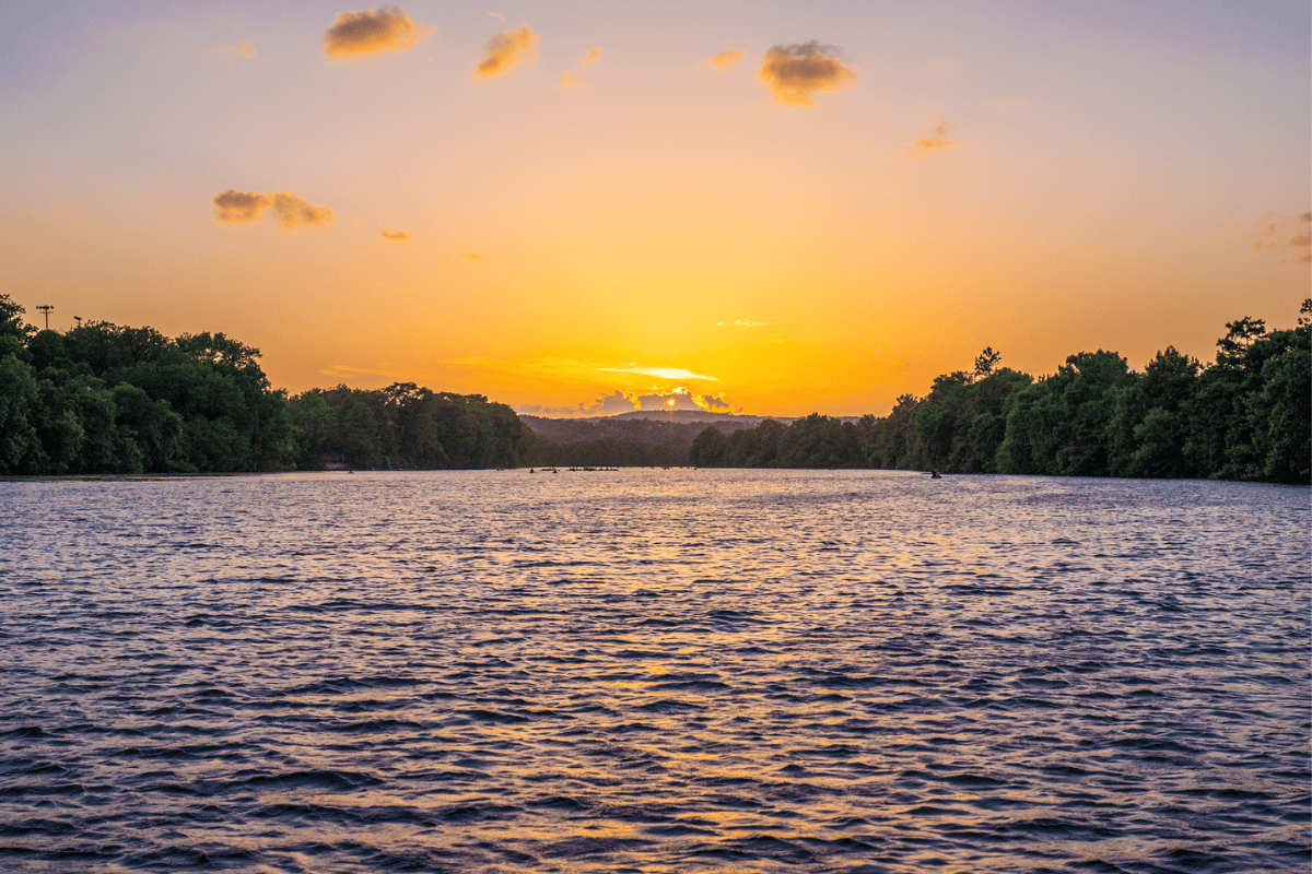 a body of water with trees and a sunset