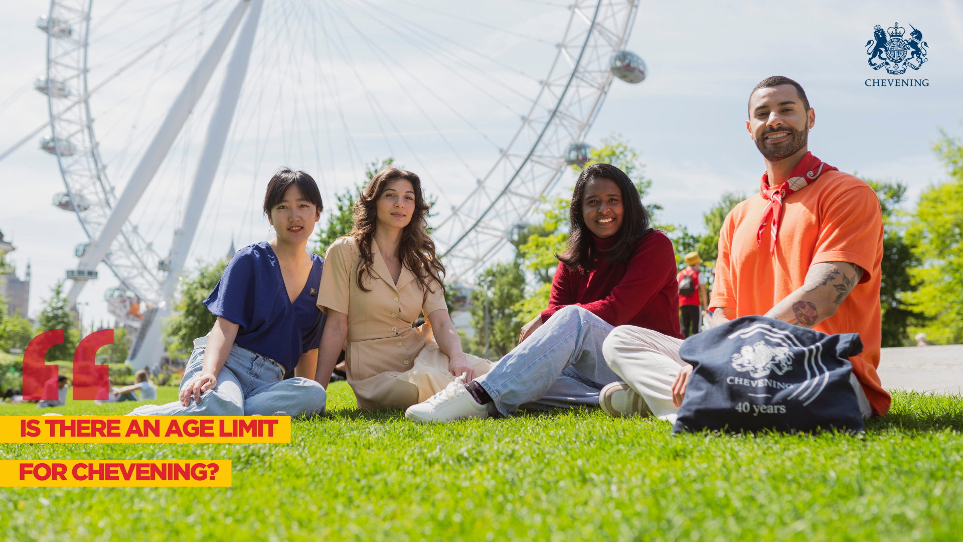 a group of people sitting on grass in front of a ferris wheel