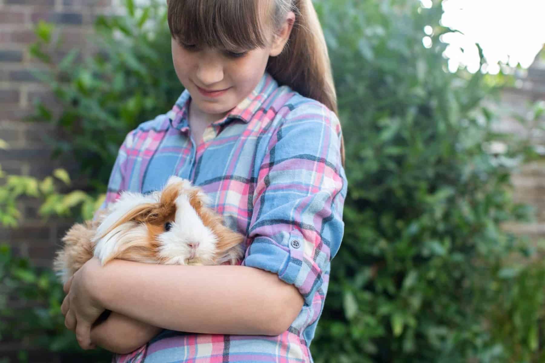 a girl holding a guinea pig