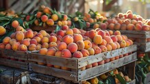 a group of fruit in a crate