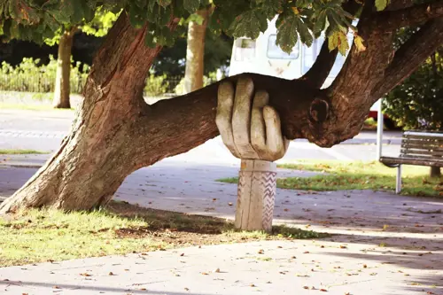 a hand holding a tree trunk