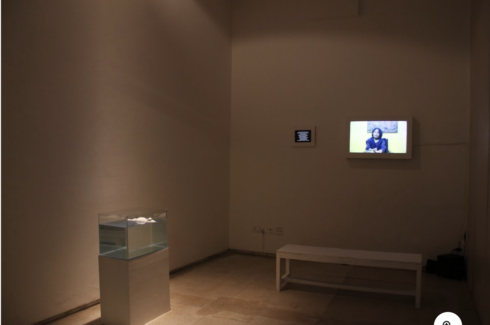 a room with a bench and a glass case with a television on the wall