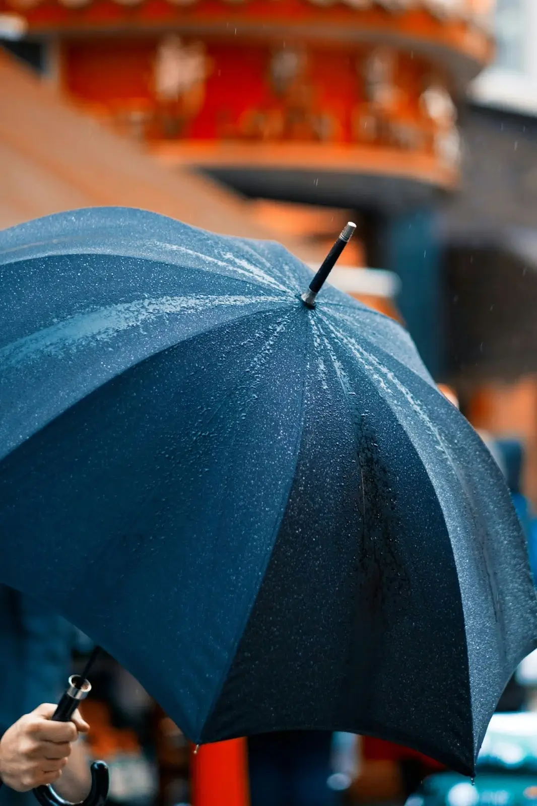 a person holding an umbrella