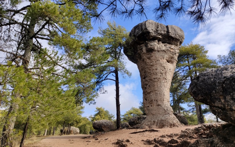 a rock formation in the woods