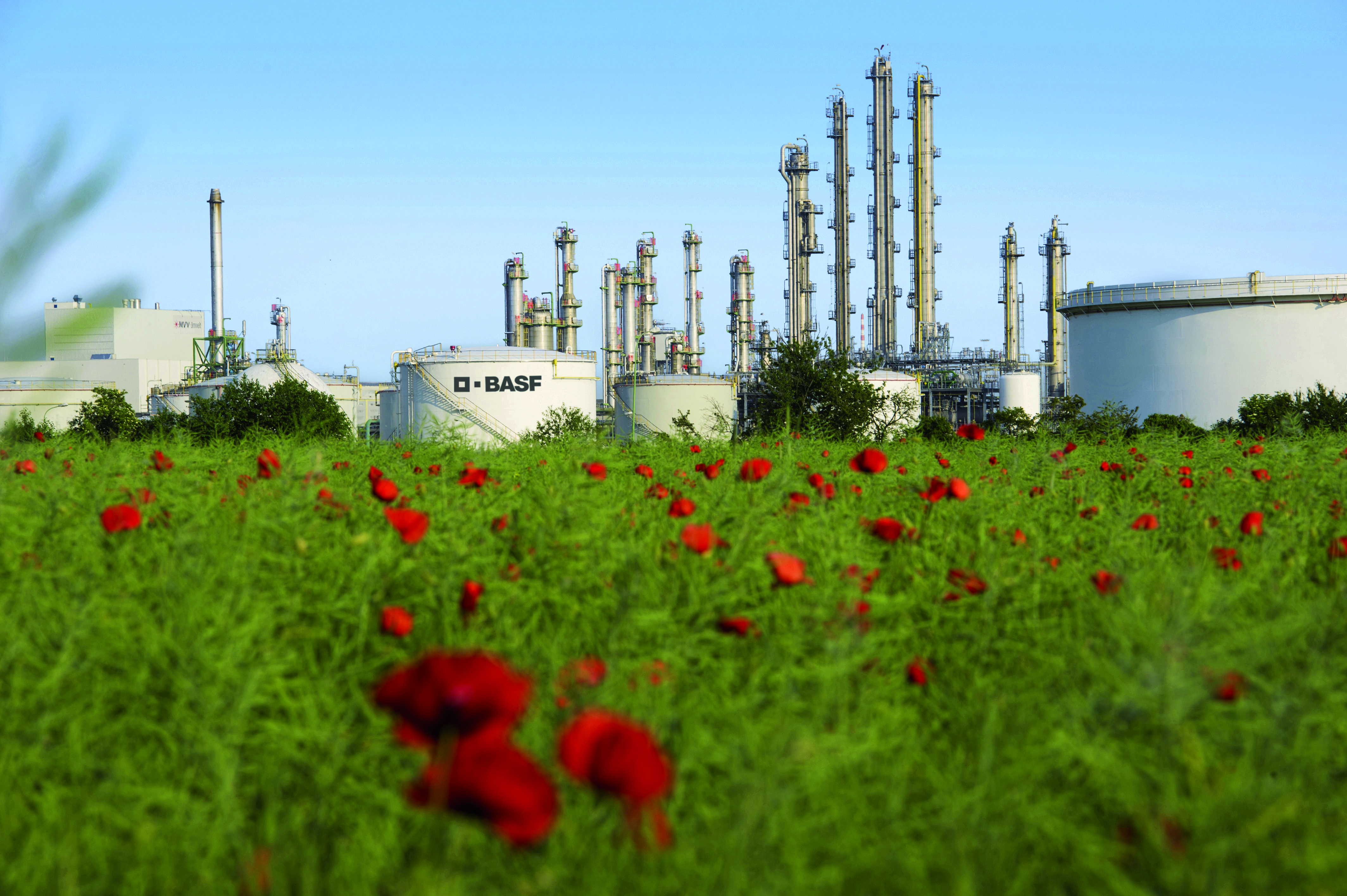 a field of red flowers with a factory in the background