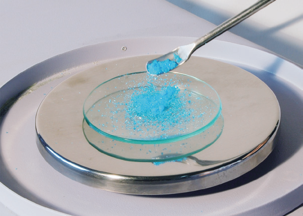 a blue powder being poured into a petri dish