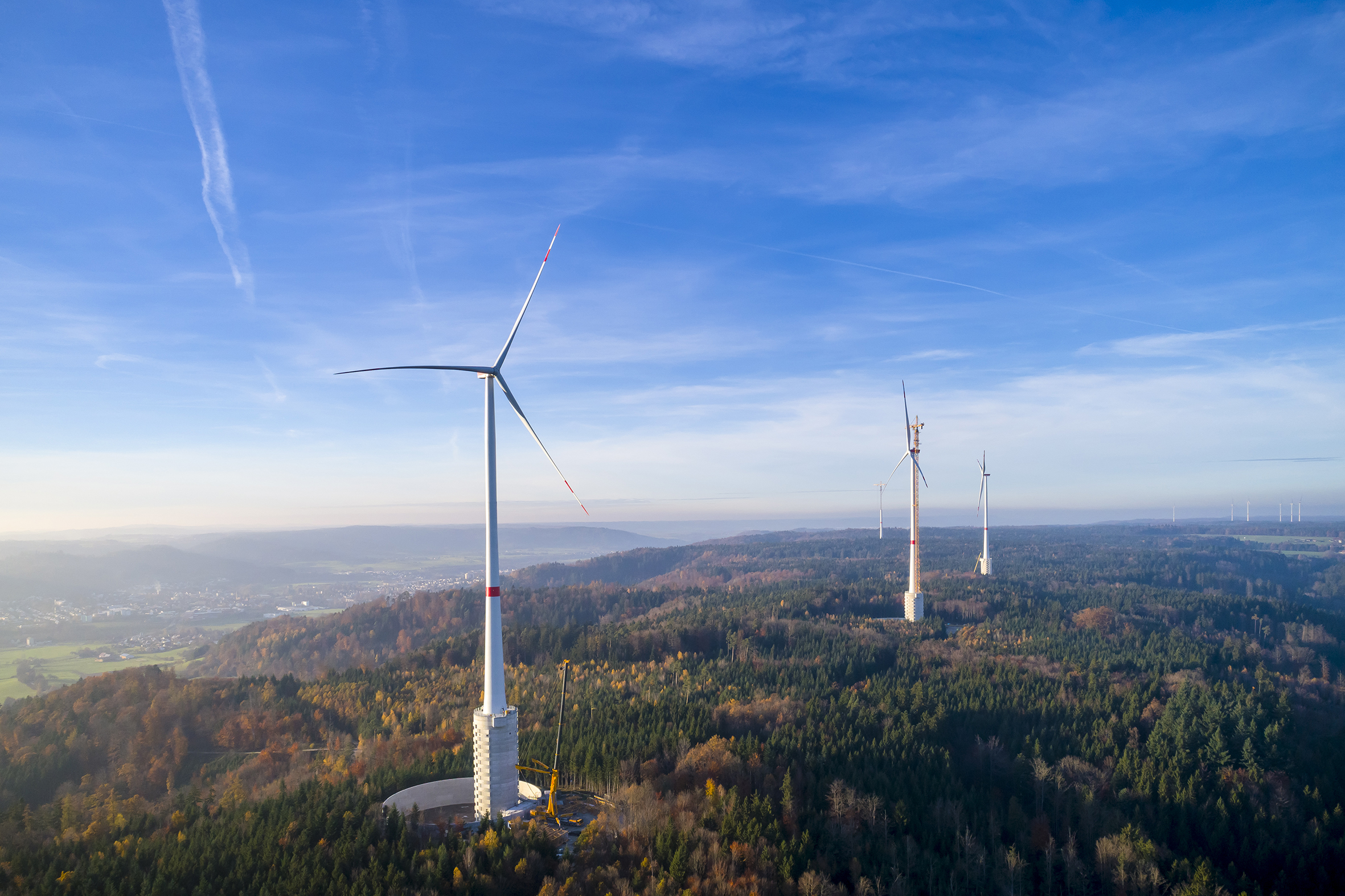 a group of windmills in a forest