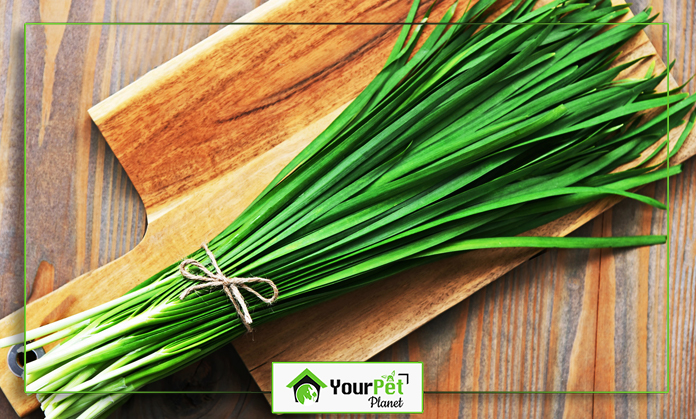 a bunch of green onions on a wooden cutting board