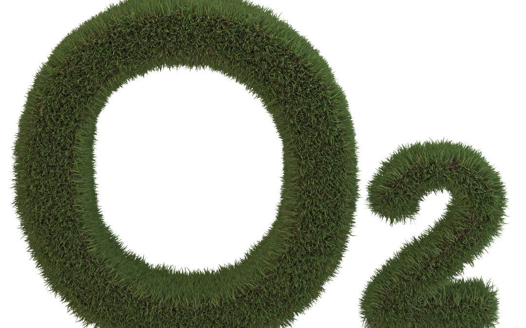 a letter o made of grass