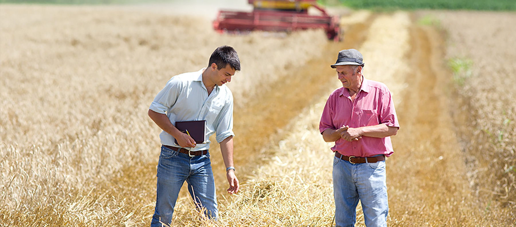 a man and a man standing in a field