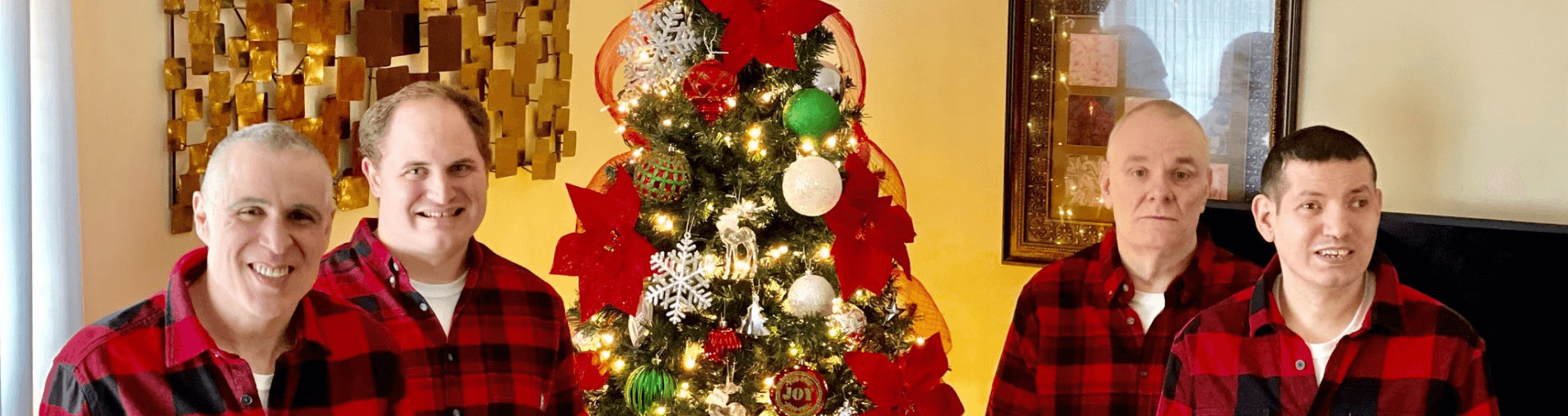 a christmas tree with ornaments and lights