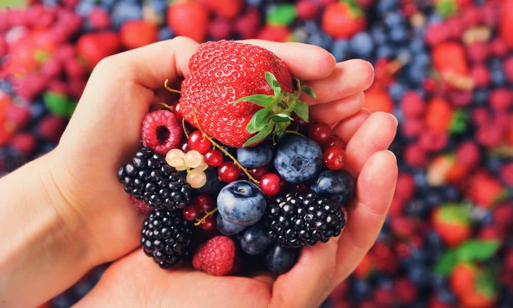 a handful of berries in hands