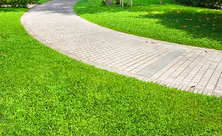 a brick path in a grassy area