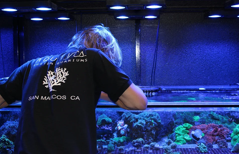 a man standing in front of a fish tank