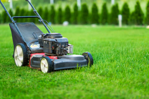 a lawn mower on the grass