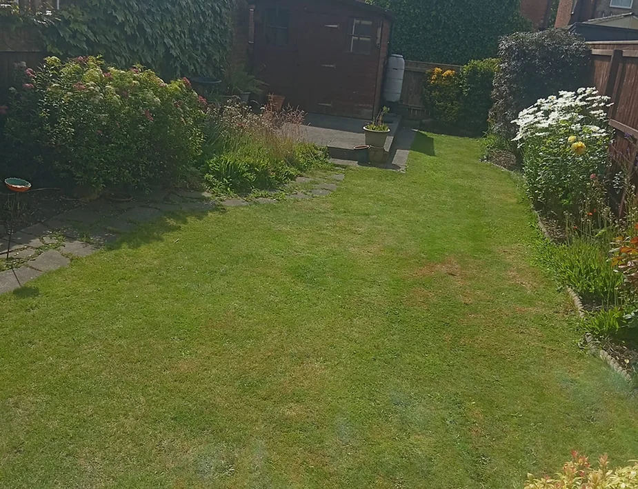 a lawn with bushes and a shed