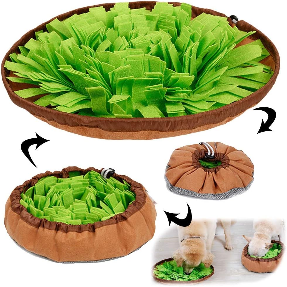 a dog bed with green fabric