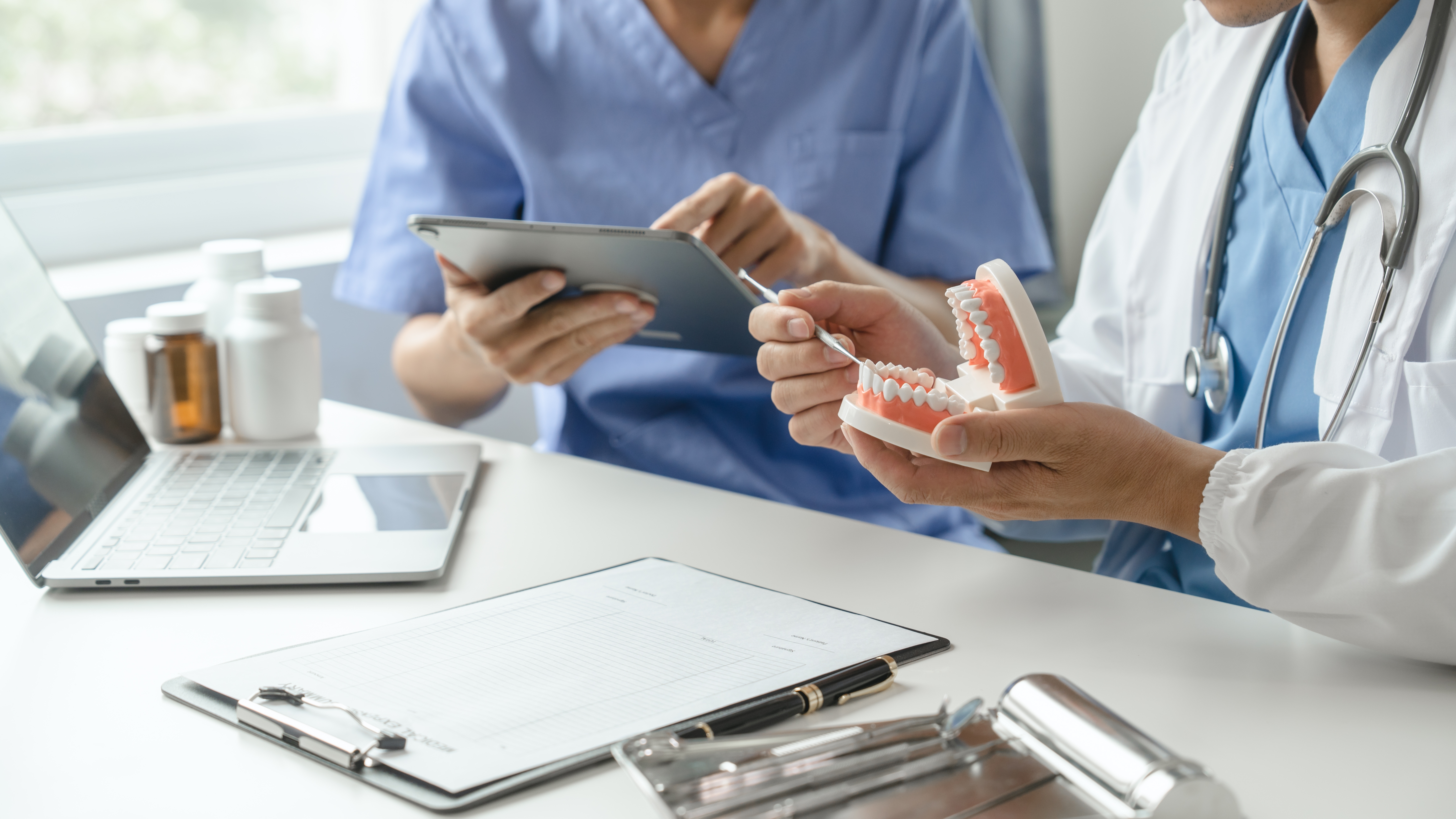 a dentist showing a model of a jaw to a woman