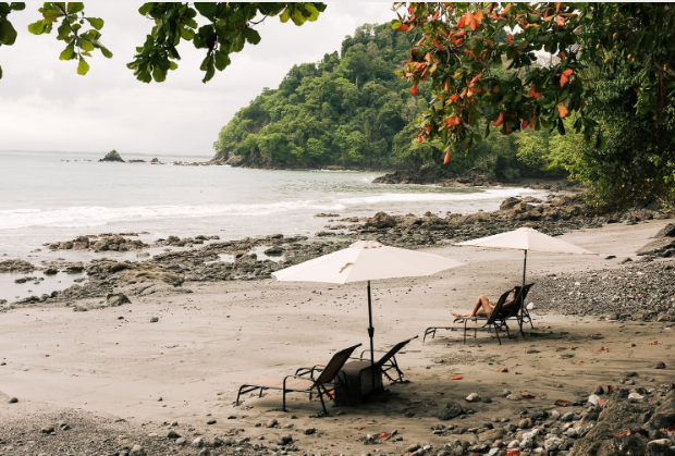 a person sitting on a chair on a beach with umbrellas