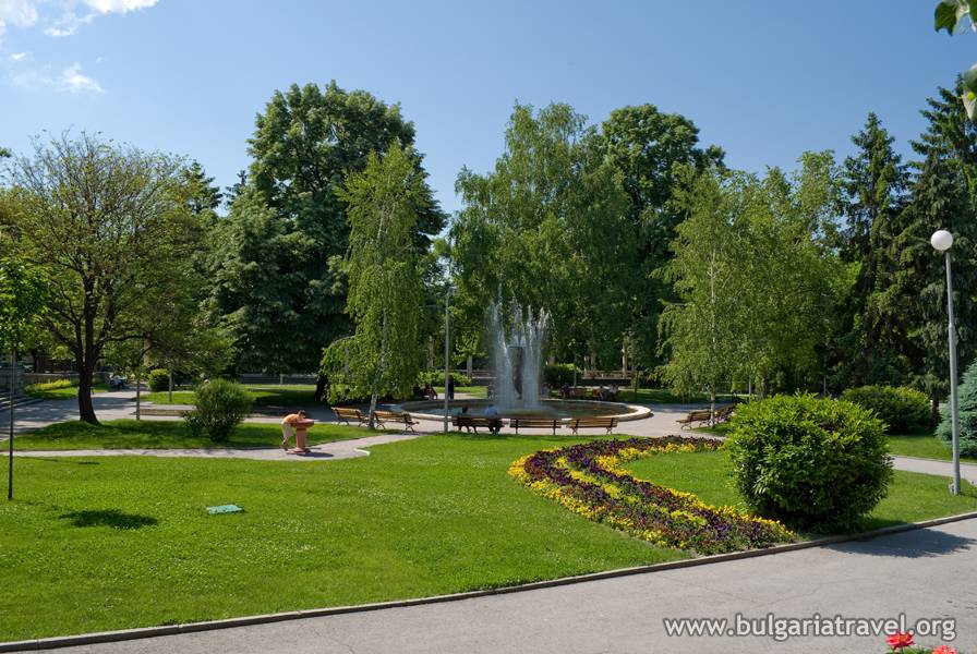 a park with a fountain and trees