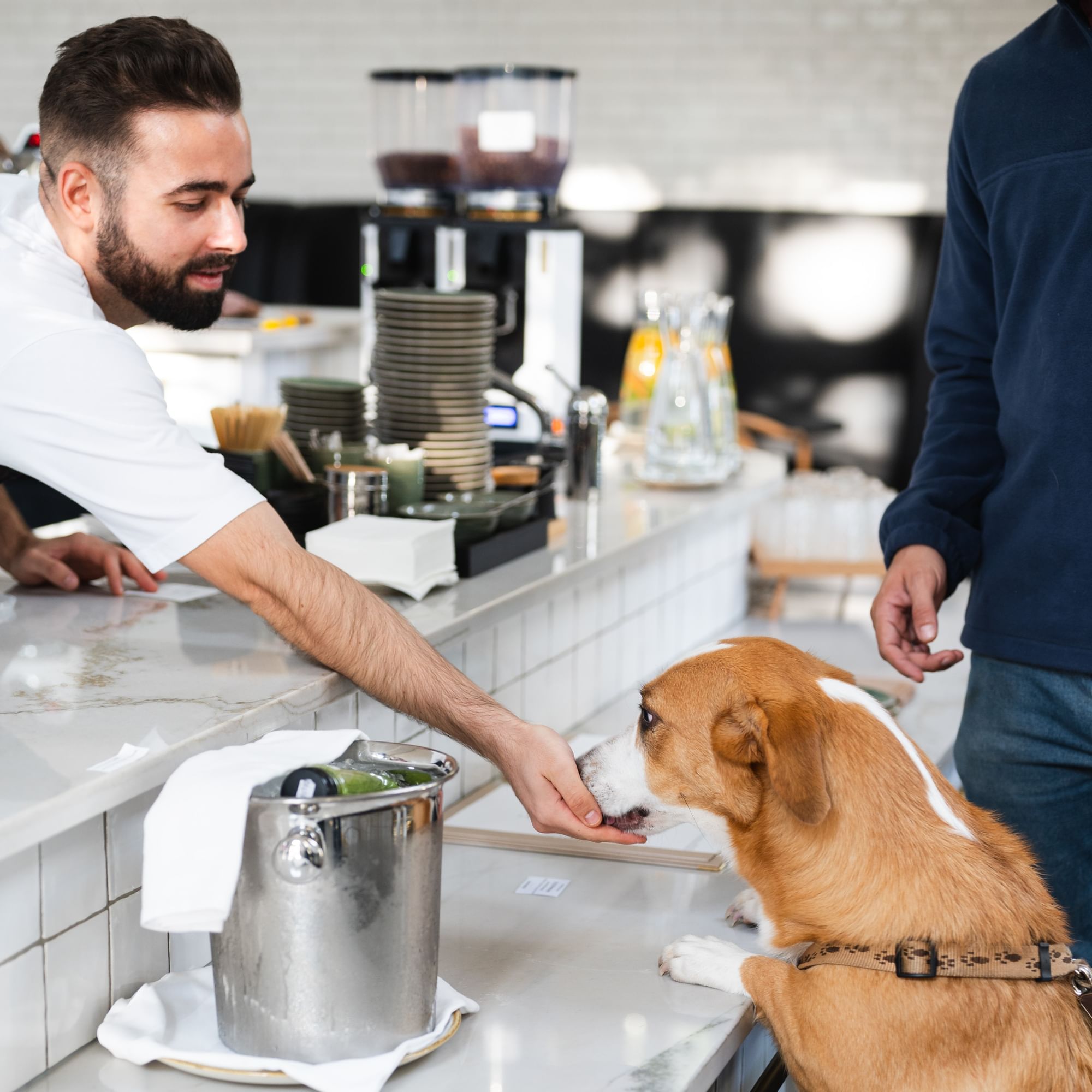 a man giving a dog a treat