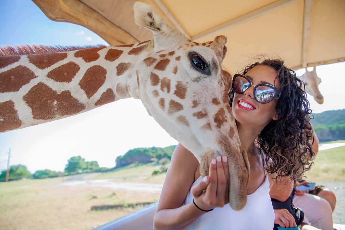 a woman with sunglasses and a giraffe