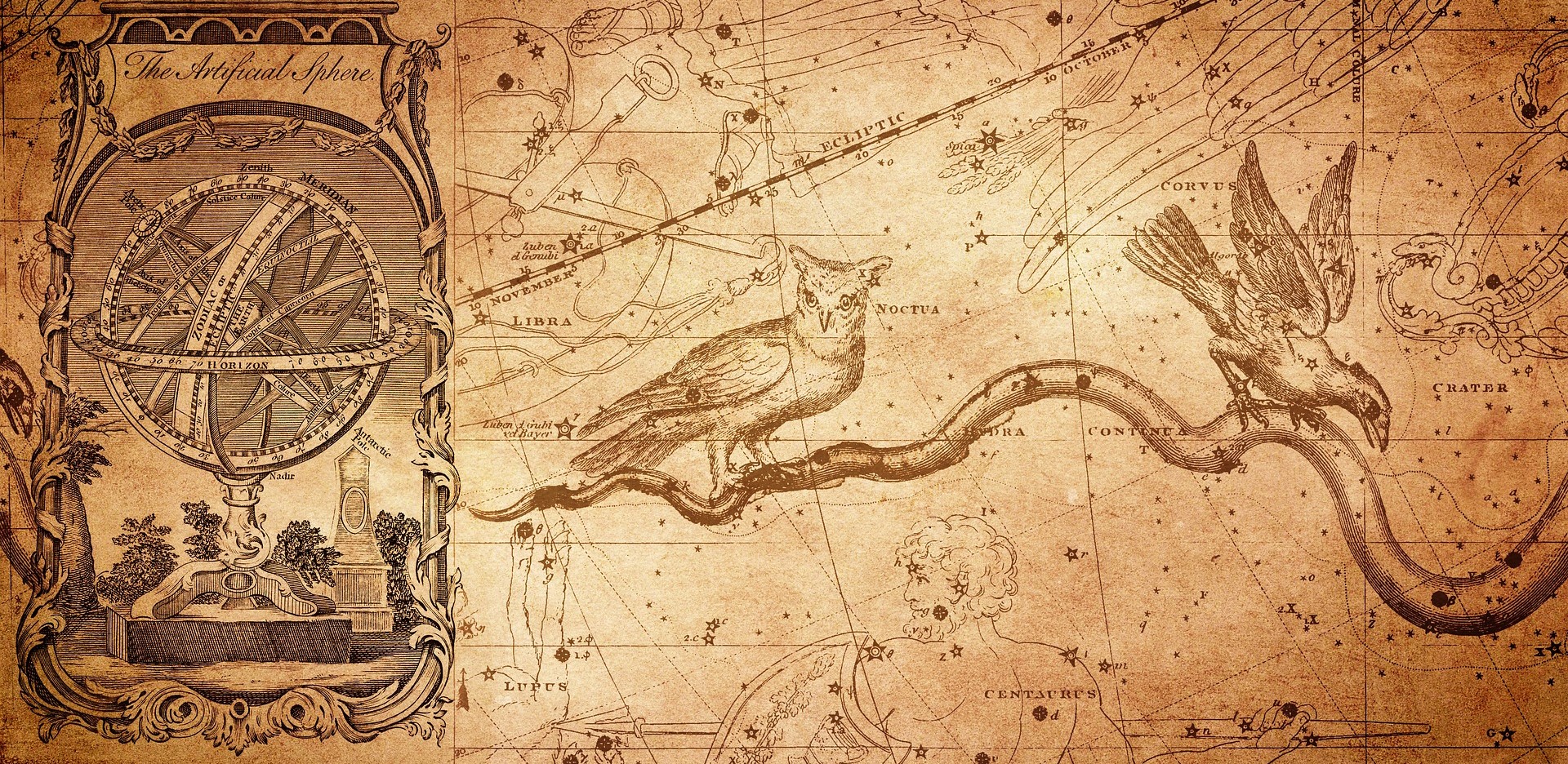 an old map with an owl