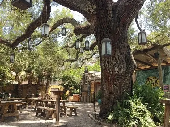 a tree with lanterns from the ceiling