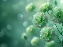 a group of flowers on a stem