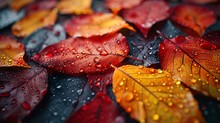 a close up of leaves