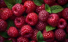 a pile of raspberries with leaves