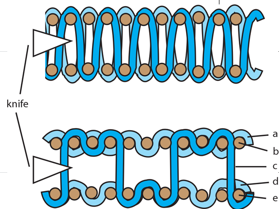 a diagram of a chain