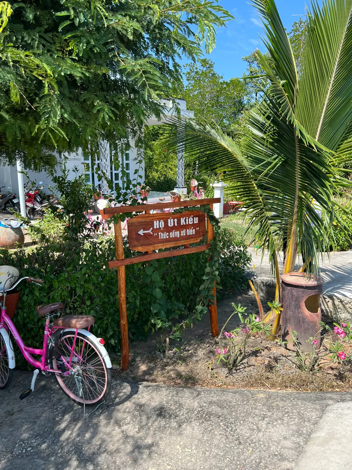 a sign with a pink bicycle next to a palm tree