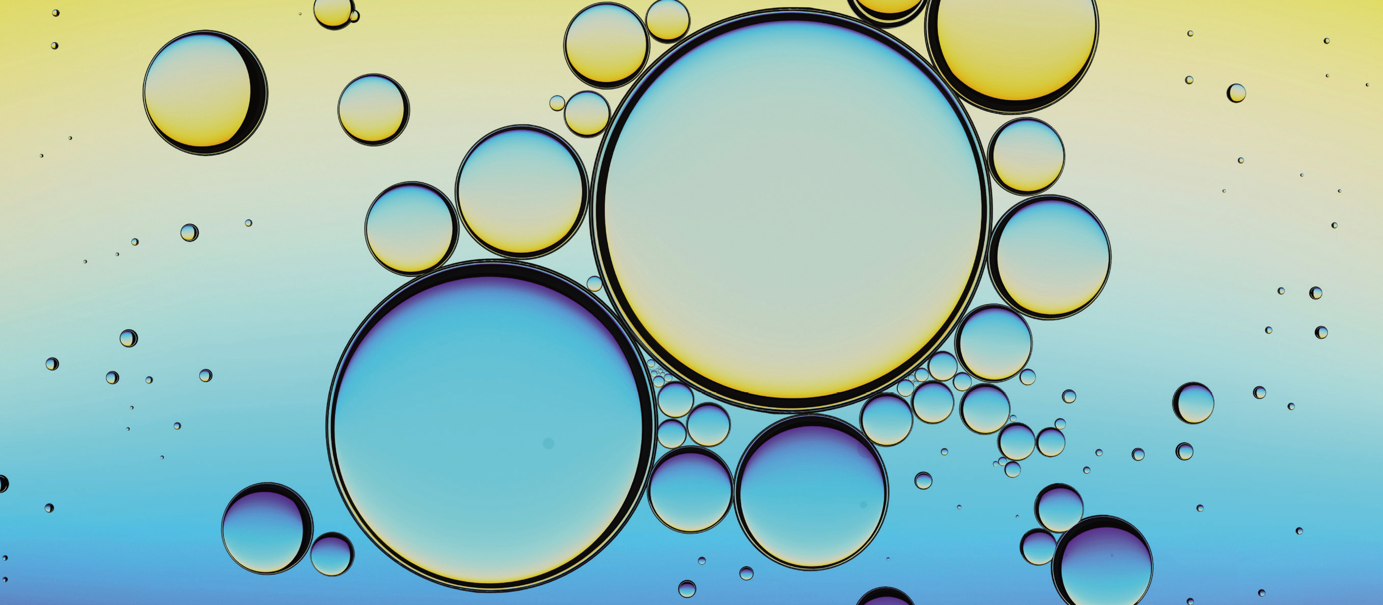 a group of bubbles on water