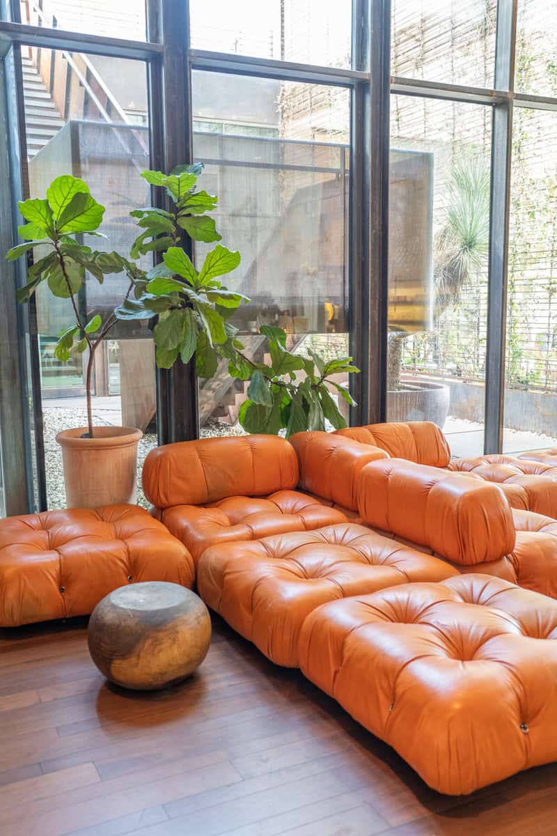 a room with orange leather couches and a potted plant