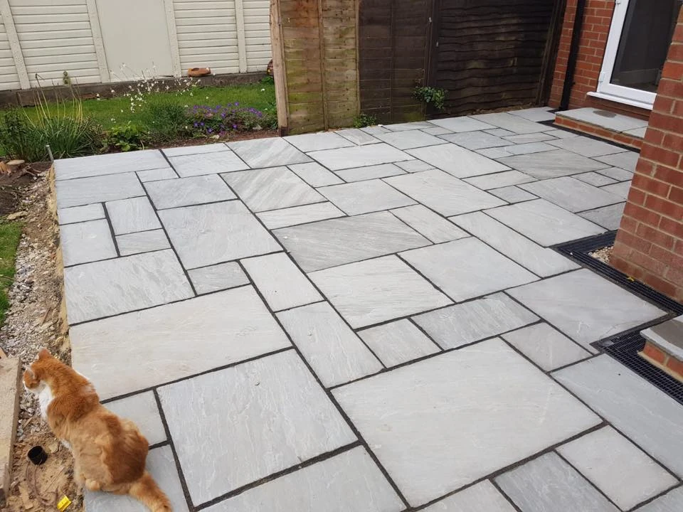 a cat sitting on a stone patio